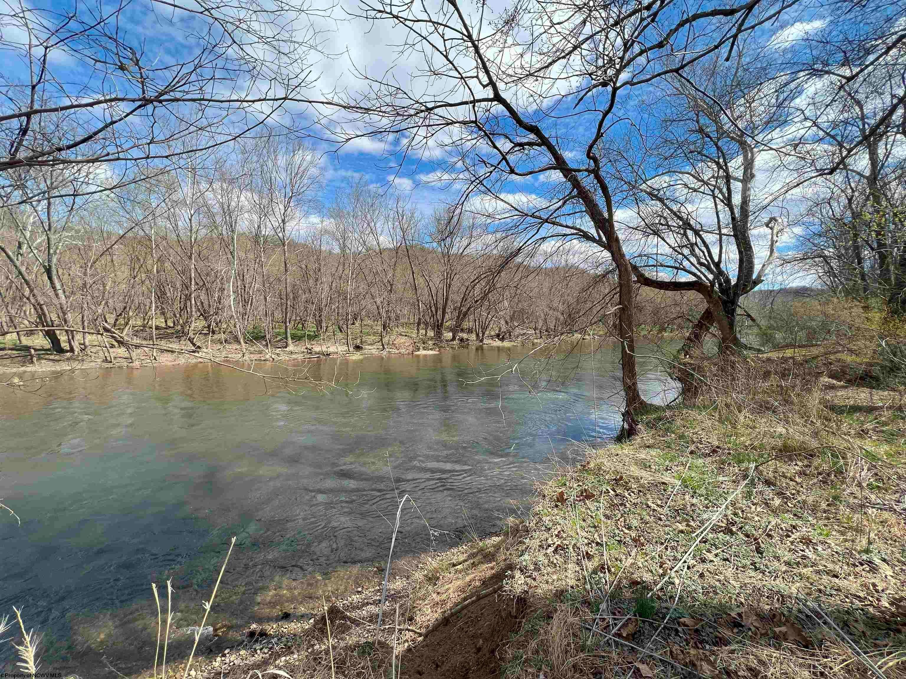 Tbd Walnut Lane Green Spring, WV 26722 - Photo 5 of 10 Gallery Image 5