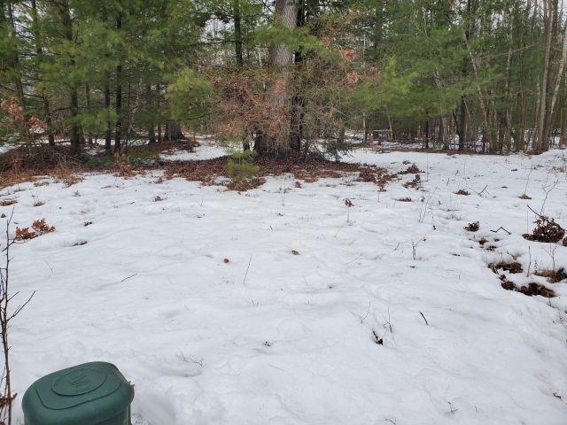 0 Rodnick Road Prescott, MI 48756 - Photo 5 of 8 1931232-2f12b707-e0fb-4d0e-9177-76bf3da50134.JPG