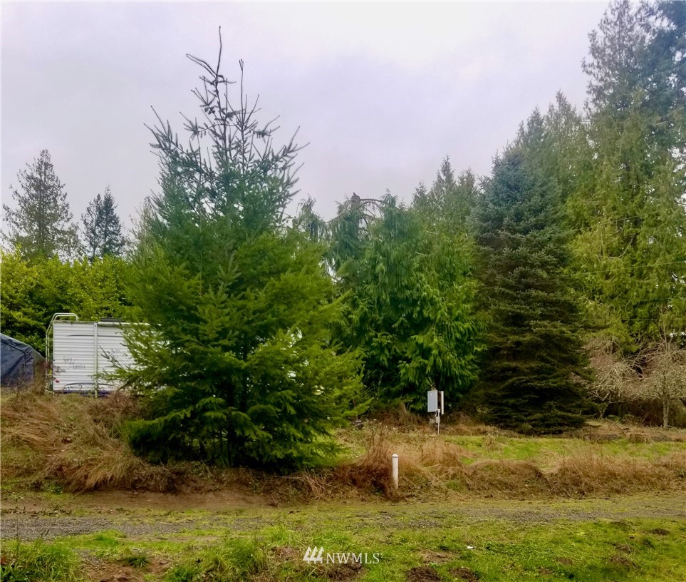 3646 Oak Bay Road Port Hadlock, WA 98339 - Photo 18 of 20 Gallery Image 18
