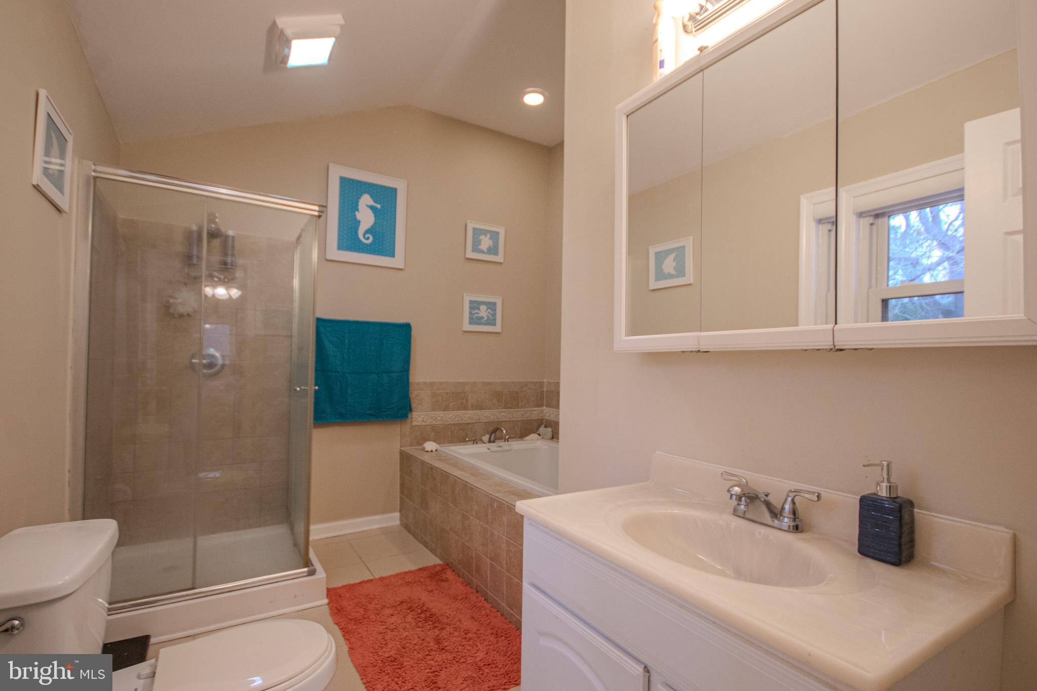 101 Culver Street Hebron, MD 21830 - Photo 20 of 33 a bathroom with a sink a toilet and shower