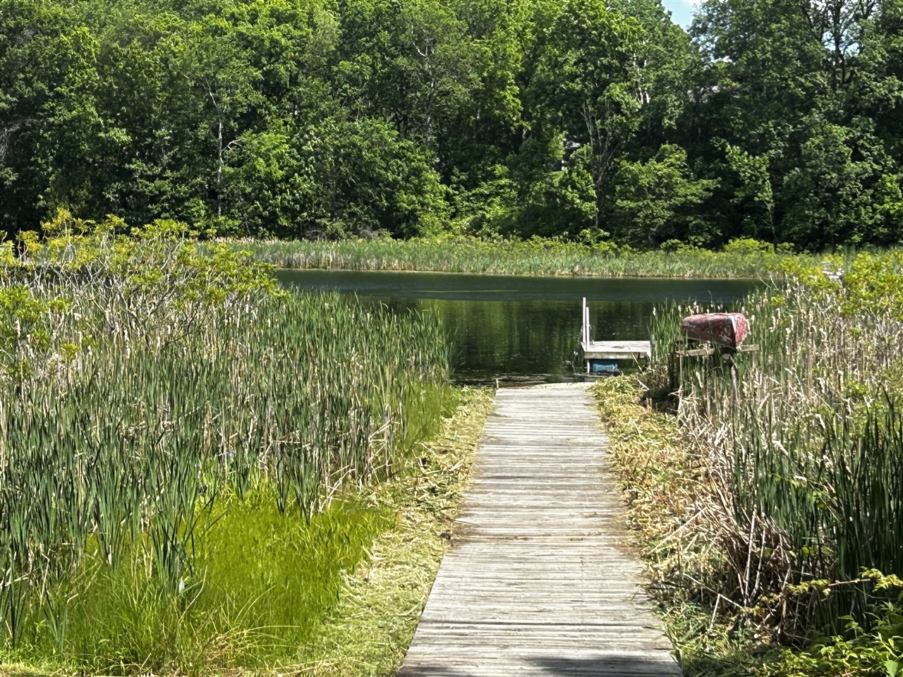 6670 Tower Lake Road Northeast Belding, MI 48809 - Photo 45 of 52