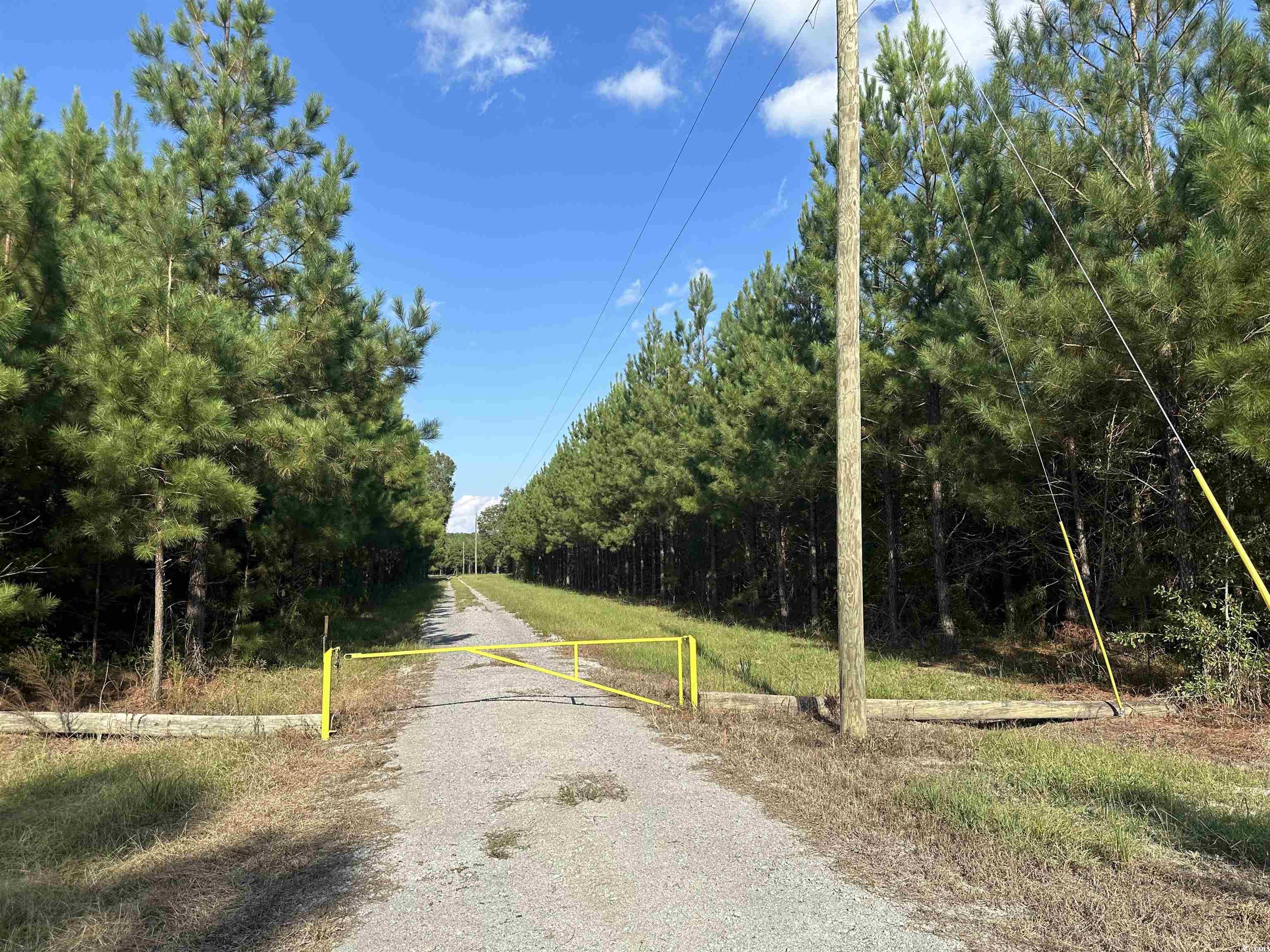 Tbd Coleman Road Greeleyville, SC 29056 - Photo 1 of 35 Gallery Image 1