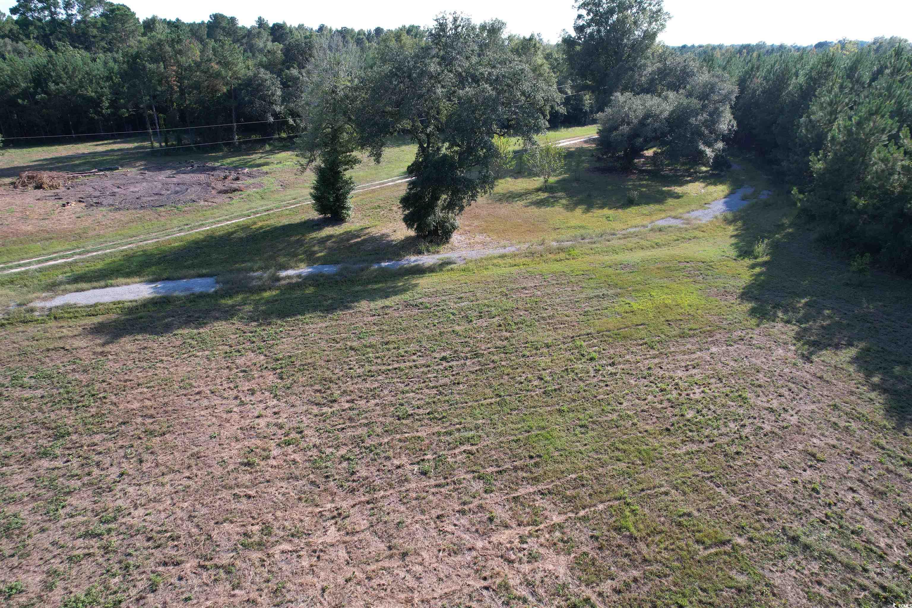 Tbd Coleman Road Greeleyville, SC 29056 - Photo 20 of 35 Gallery Image 20