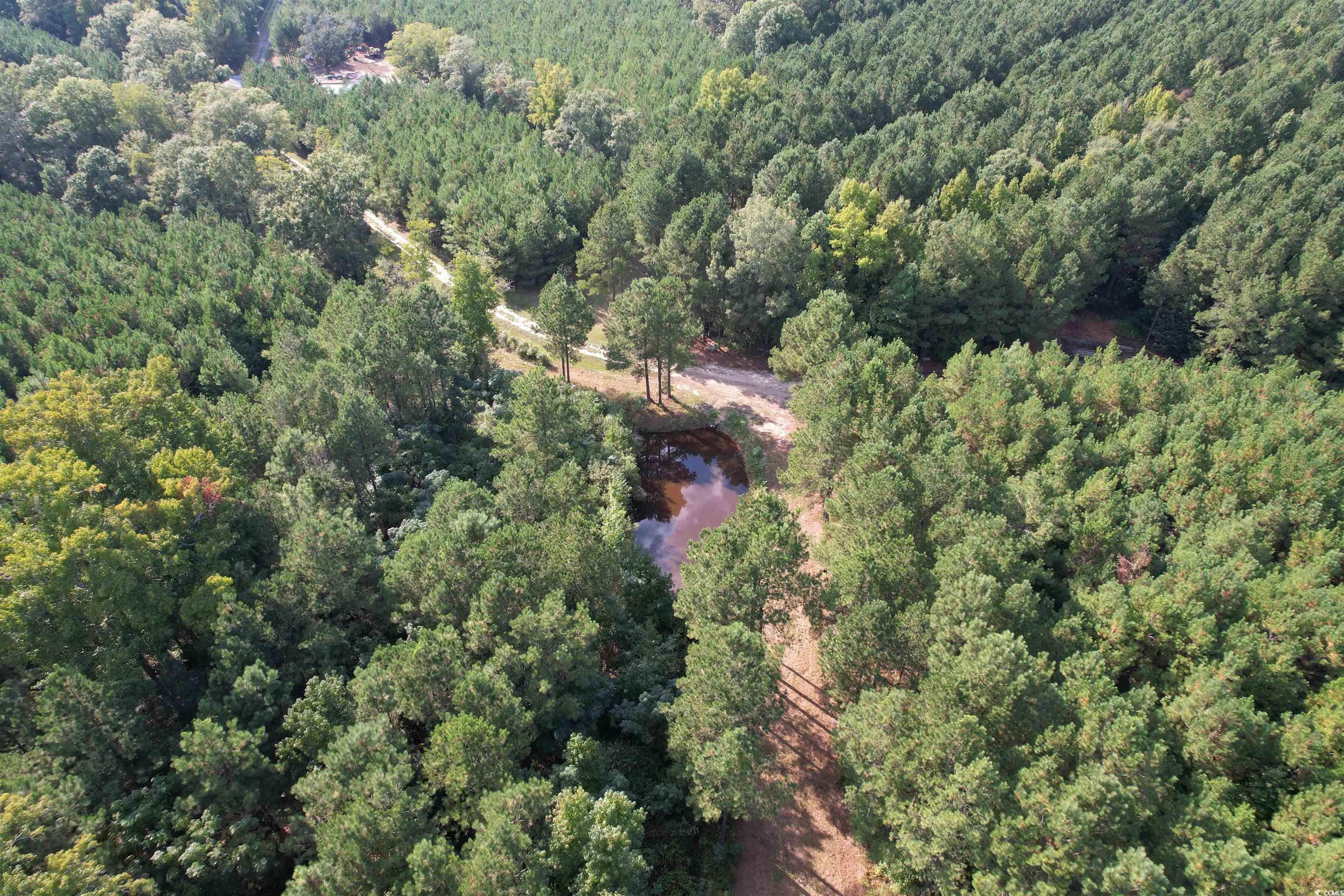 Tbd Coleman Road Greeleyville, SC 29056 - Photo 26 of 35 Gallery Image 26