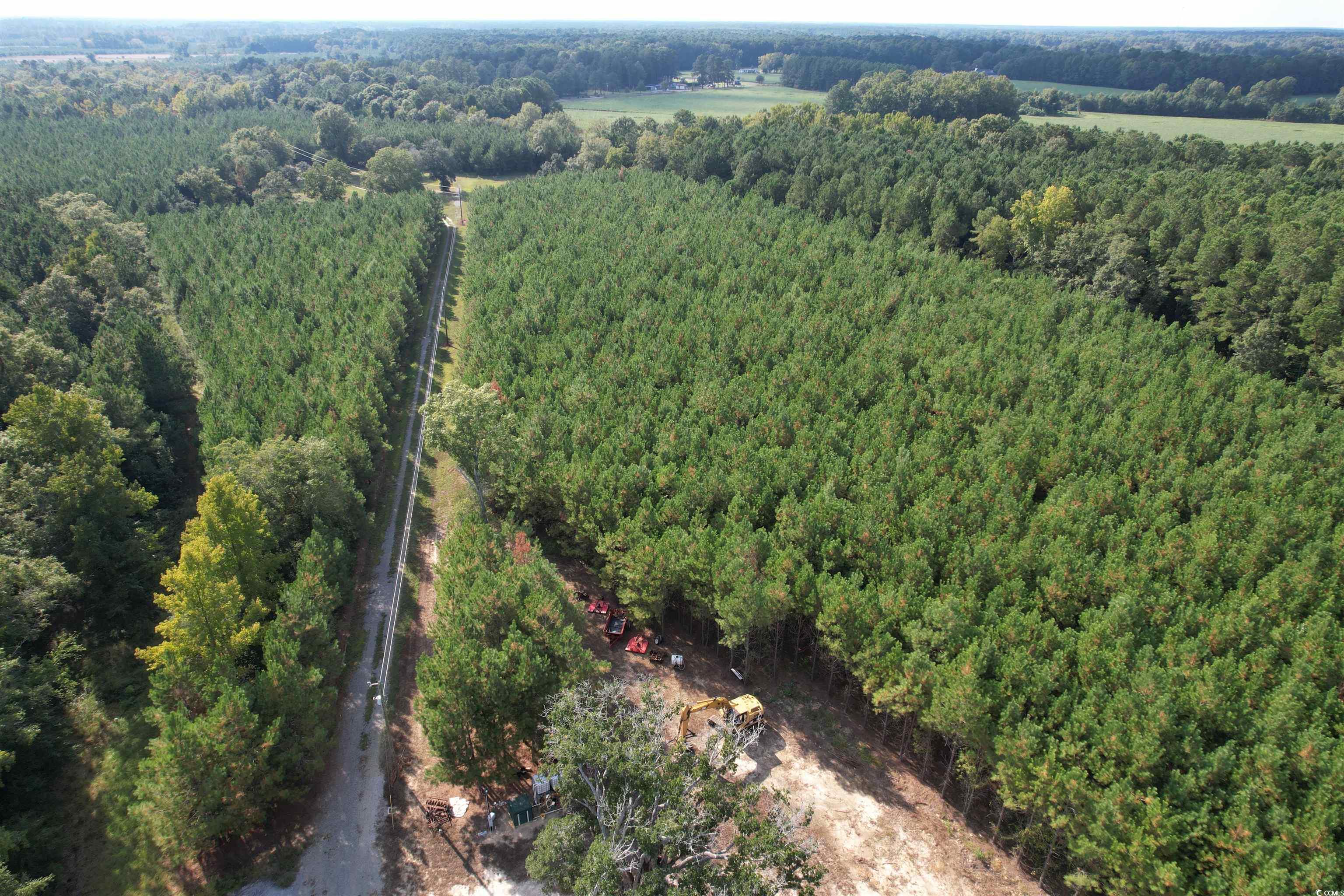 Tbd Coleman Road Greeleyville, SC 29056 - Photo 28 of 35 Gallery Image 28
