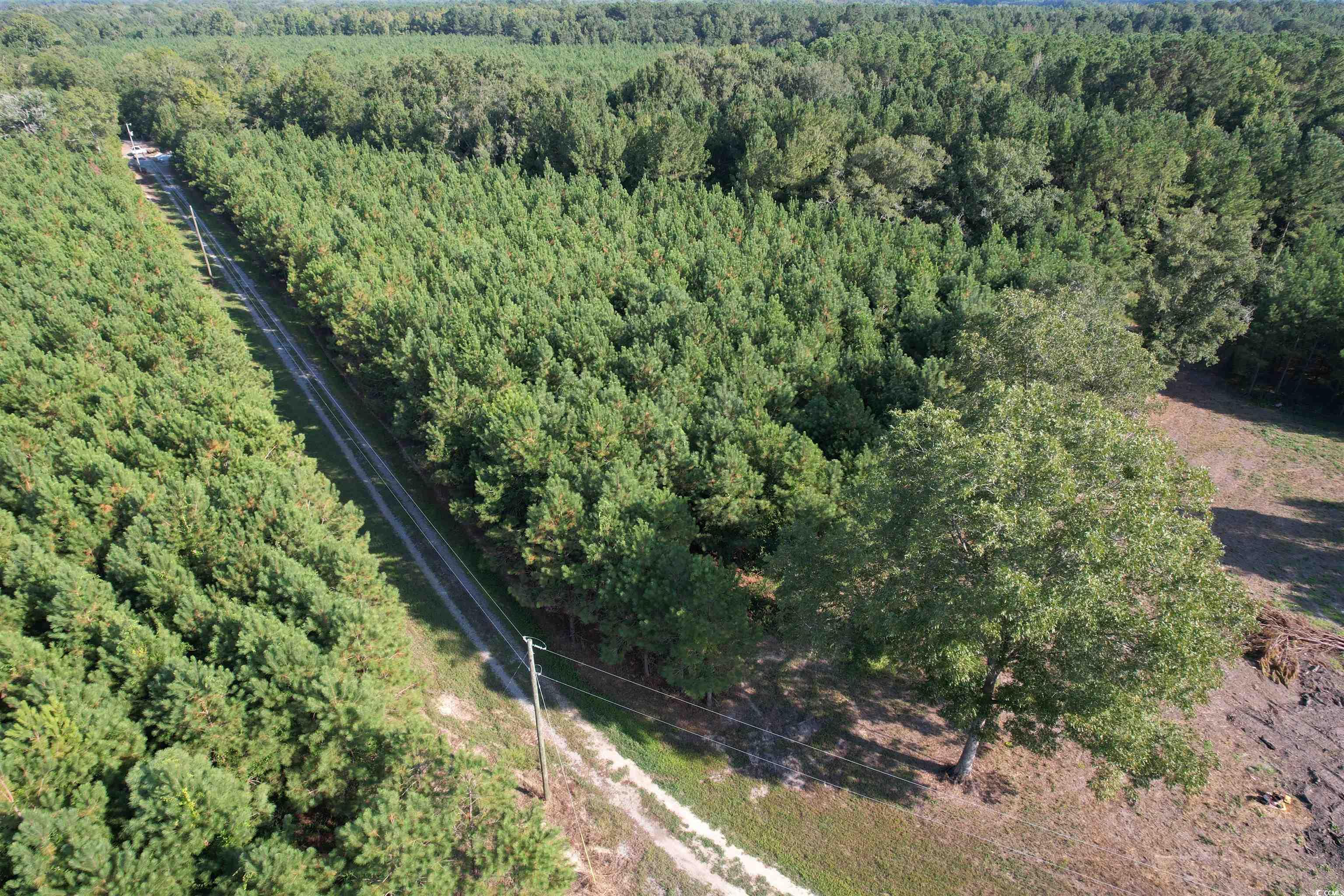Tbd Coleman Road Greeleyville, SC 29056 - Photo 30 of 35 Gallery Image 30