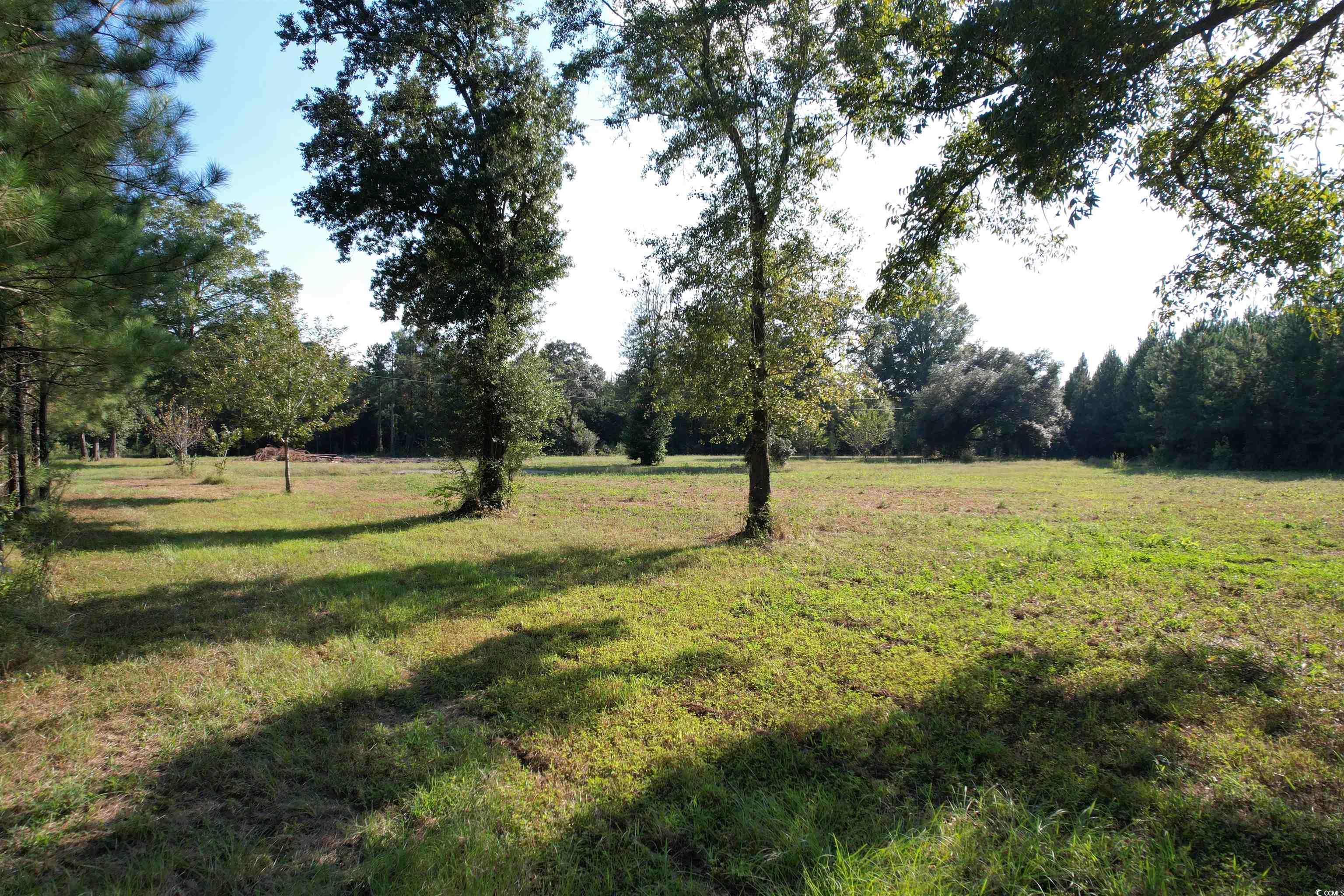 Tbd Coleman Road Greeleyville, SC 29056 - Photo 3 of 35 Gallery Image 3