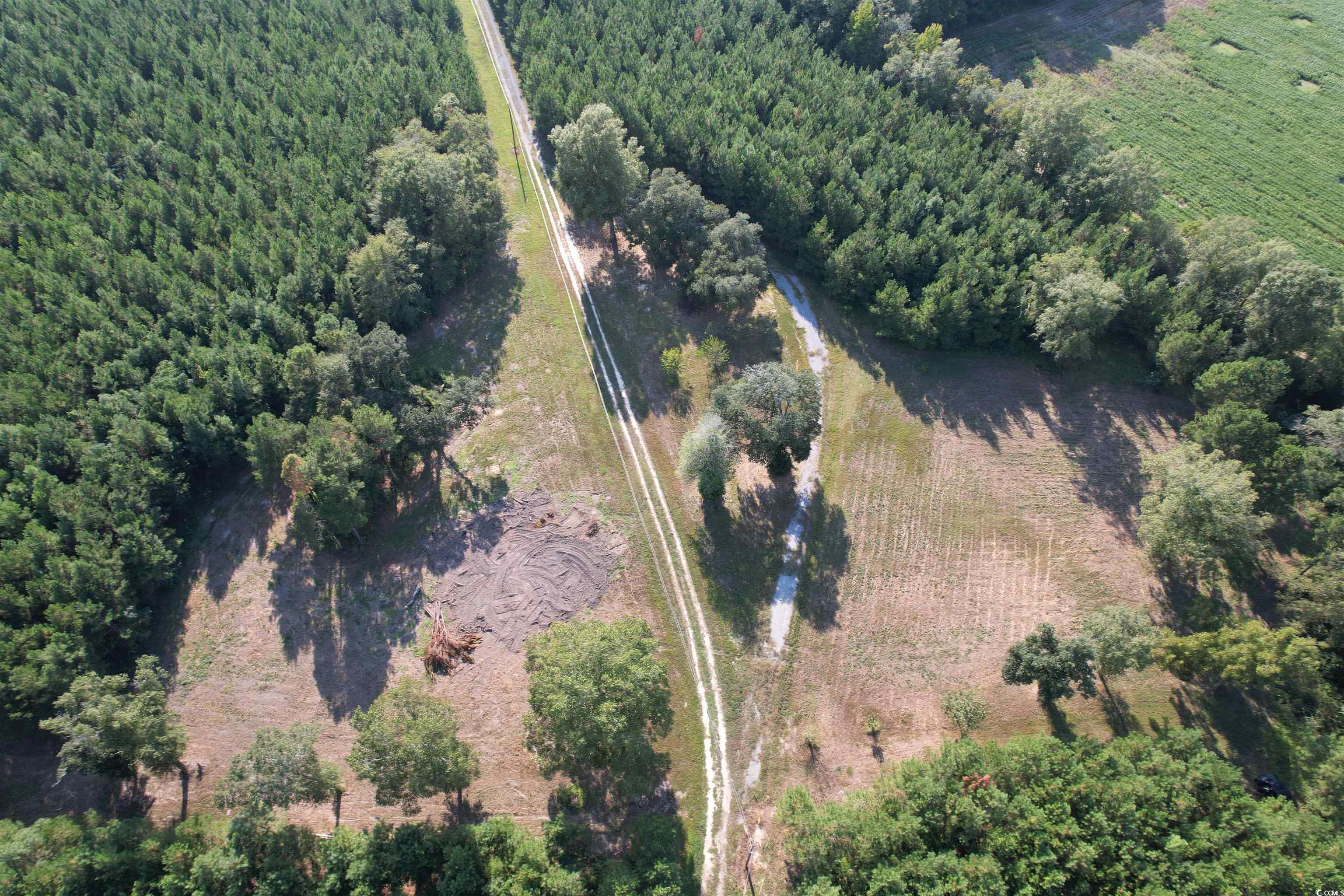 Tbd Coleman Road Greeleyville, SC 29056 - Photo 32 of 35 Gallery Image 32