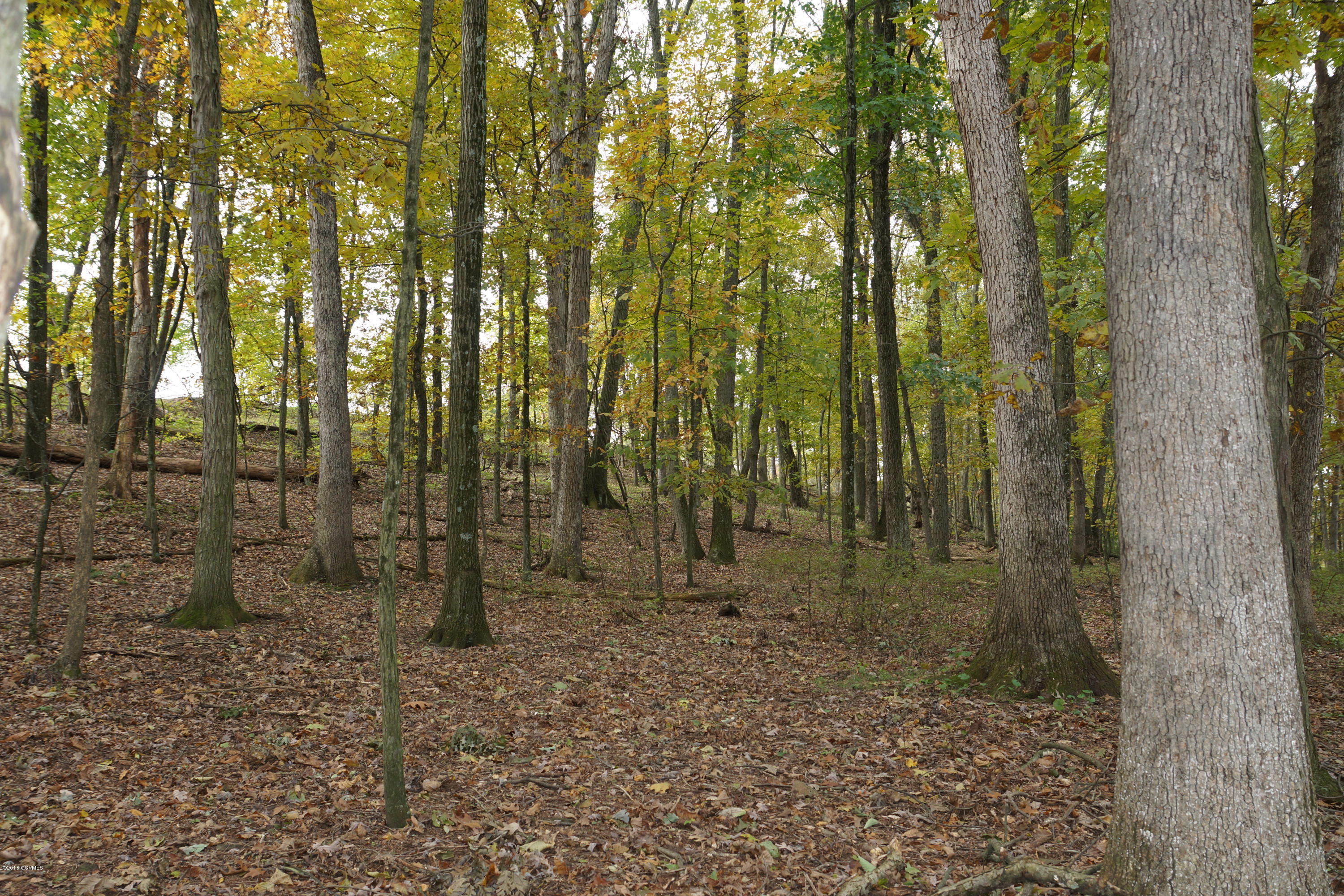 Lot 4 Milroy Road New Columbia, PA 17856 - Photo 7 of 27