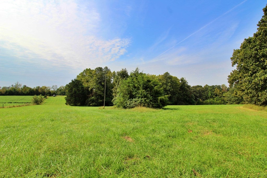Tower Road Pamplin, VA 23958 - Photo 6 of 25 Gallery Image 6