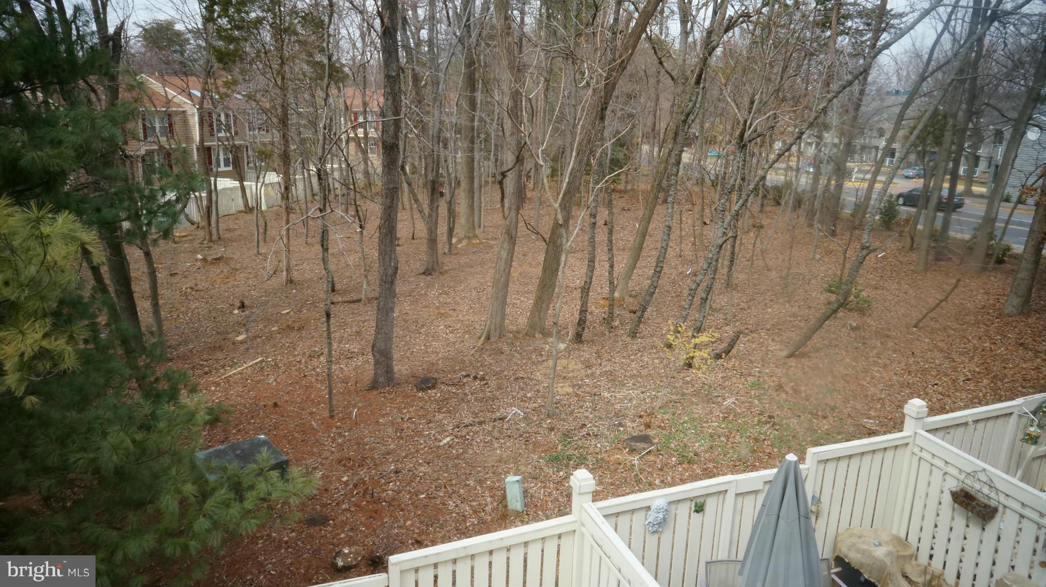 1589 Woodcrest Drive Reston, VA 20194 - Photo 28 of 30 Exterior (Rear)