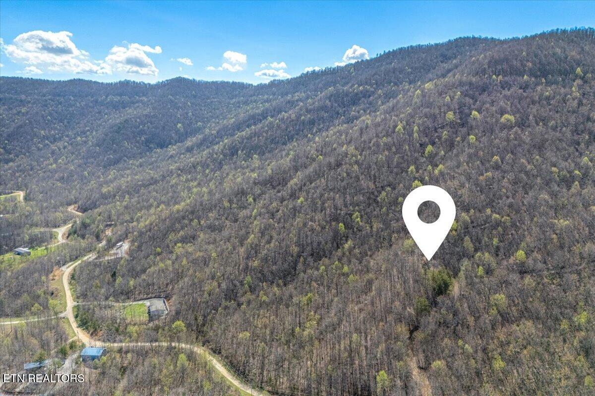 422 Crooked Branch Road Huntsville, TN 37756 - Photo 9 of 35 12-Marker A3