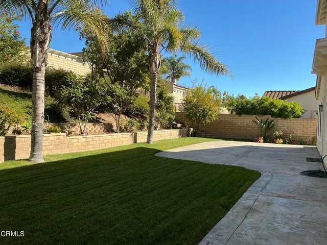 a view of a yard with plants and trees