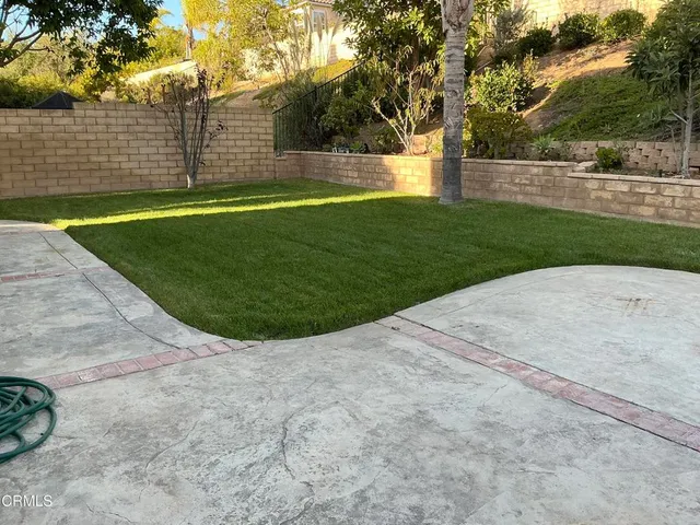 a view of a garden with plants