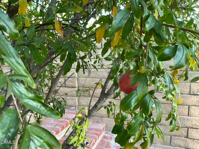 a view of a house with a wooden fence