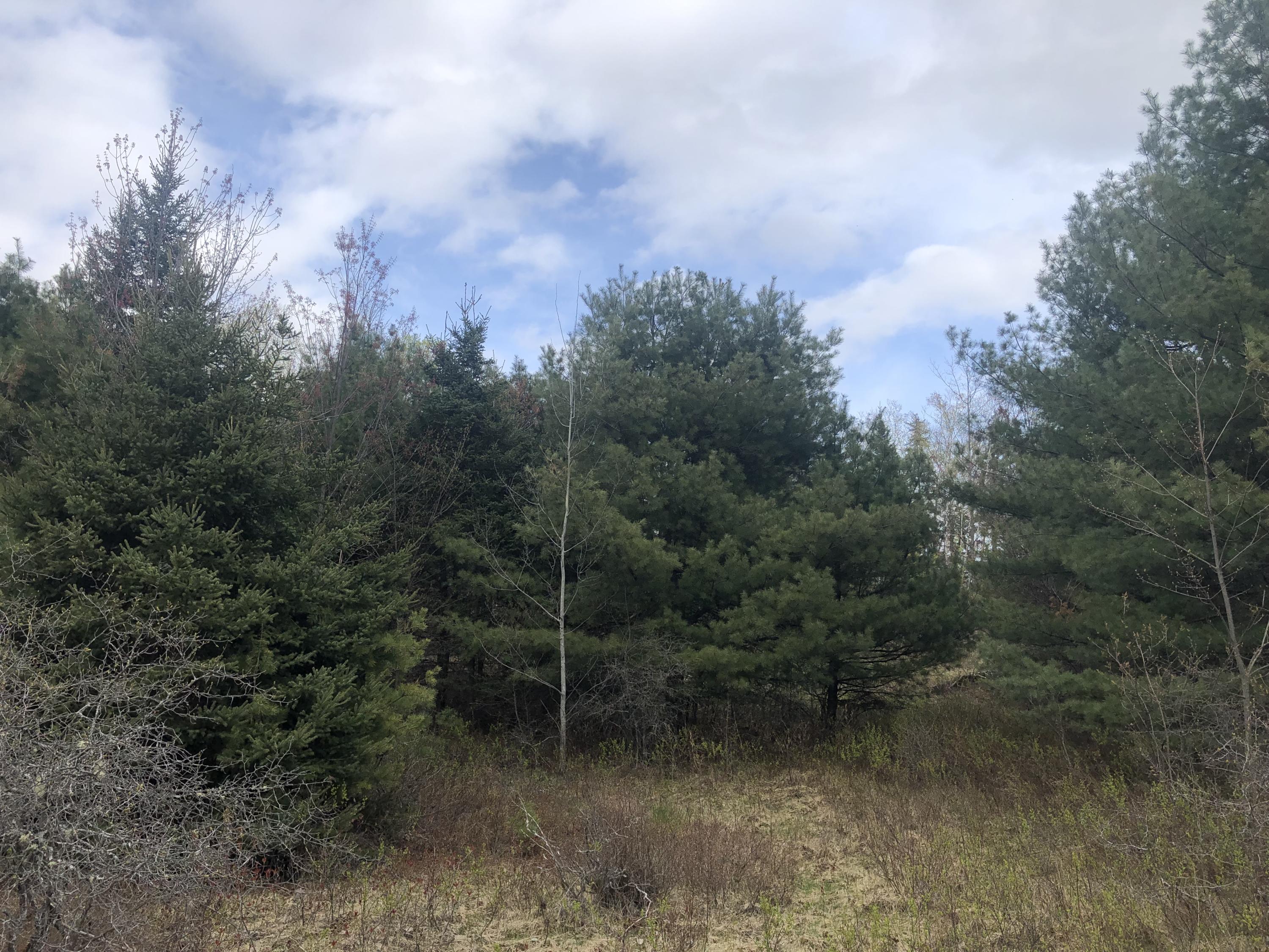 220 Goulds Ridge Road Passadumkeag, ME 04475 - Photo 10 of 12 IMG_4172