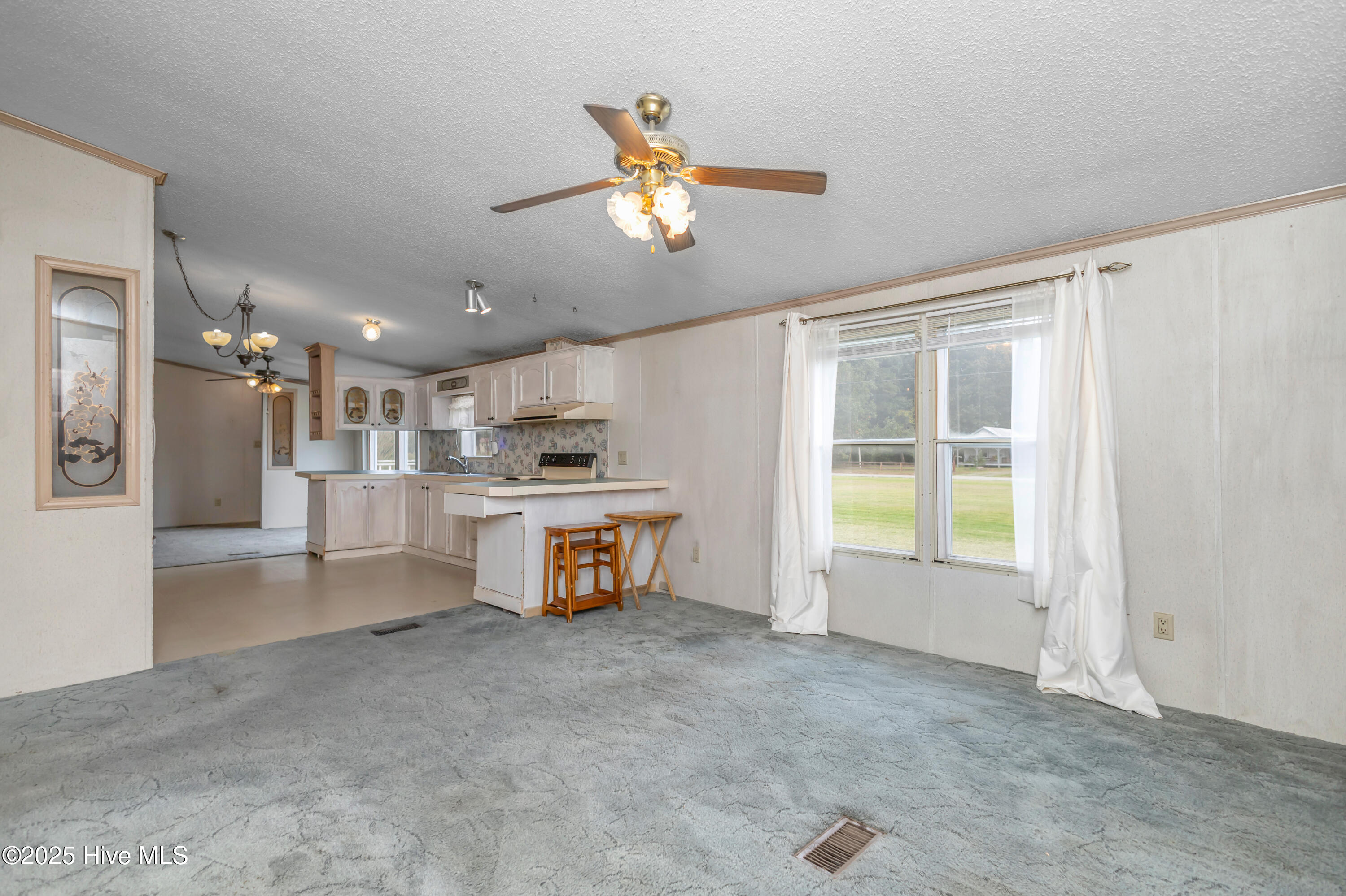 328 Middle Swamp Road Gates, NC 27937 - Photo 14 of 50 14