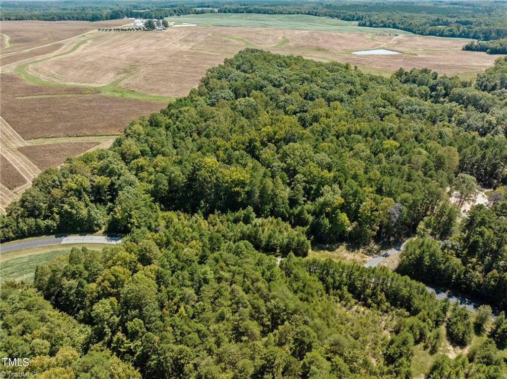 0 New Mayo Drive Roxboro, NC 27574 - Photo 7 of 14