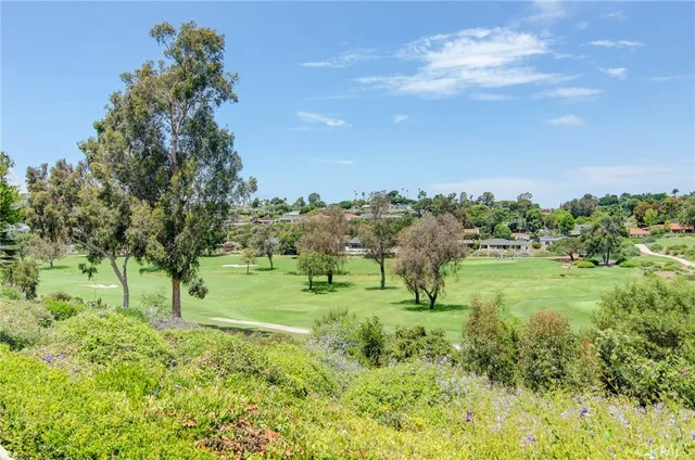 a view of a big yard with large trees