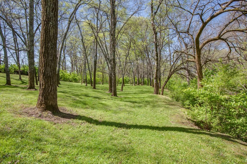 3680 Rutherford Drive Spring Hill, TN 37174 - Photo 27 of 30