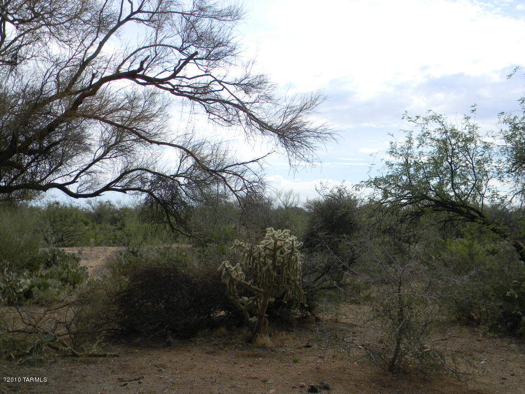 16042 West Ridgemoor Avenue Tucson, AZ 85736 - Photo 20 of 24