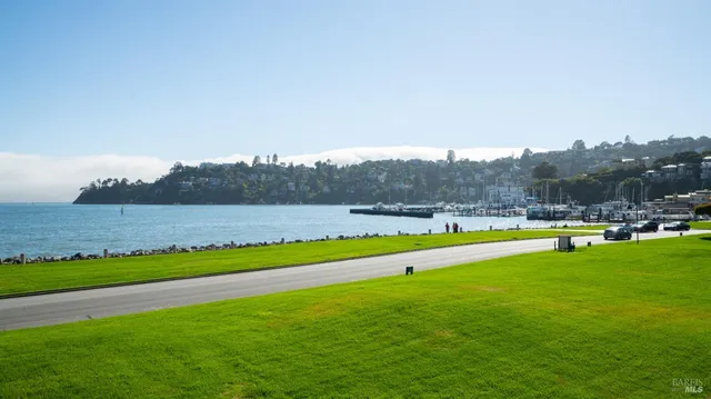 a view of green field with lake view