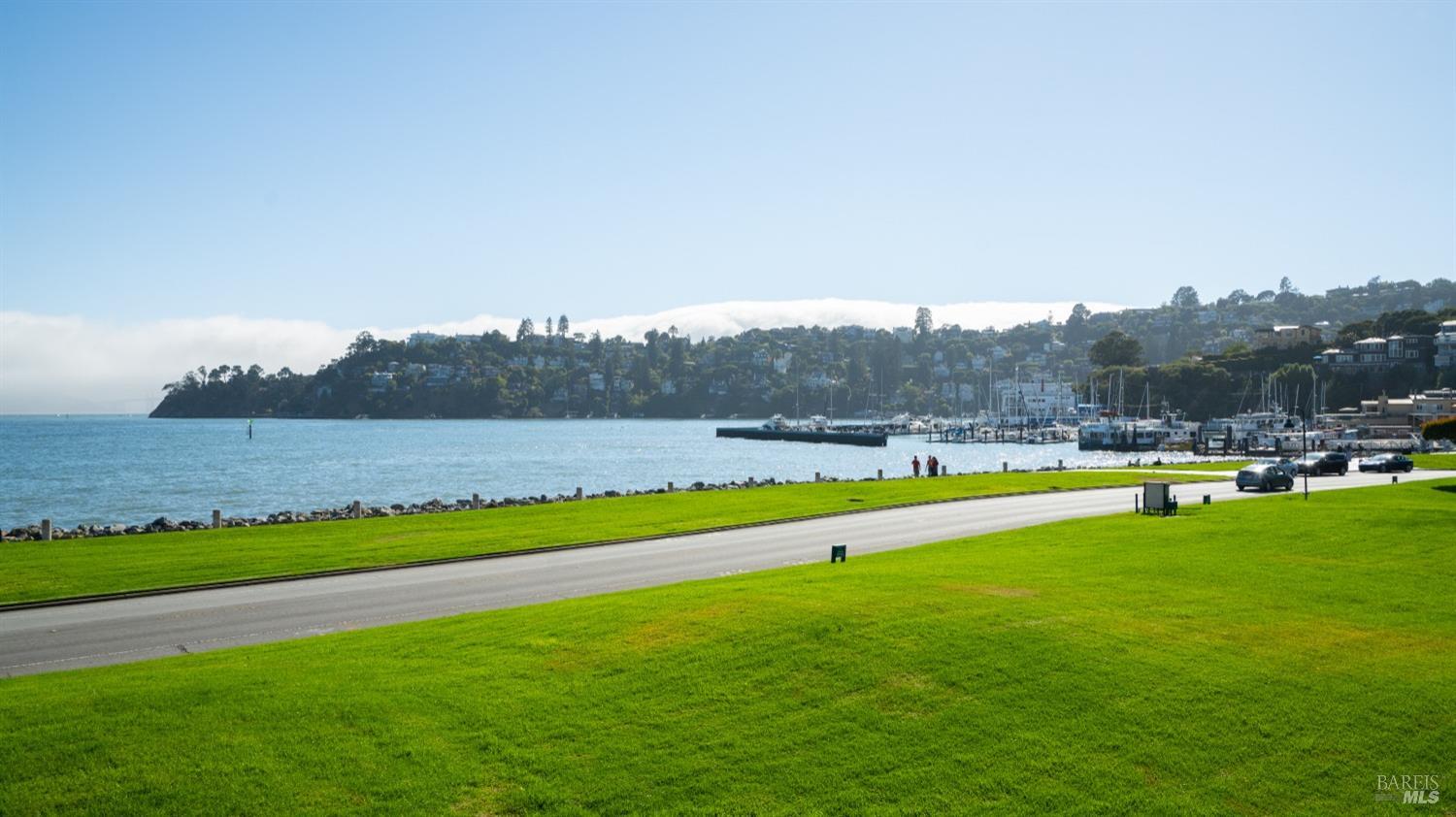 206 Paradise Drive Tiburon, CA 94920 - Photo 1 of 45 a view of green field with lake view