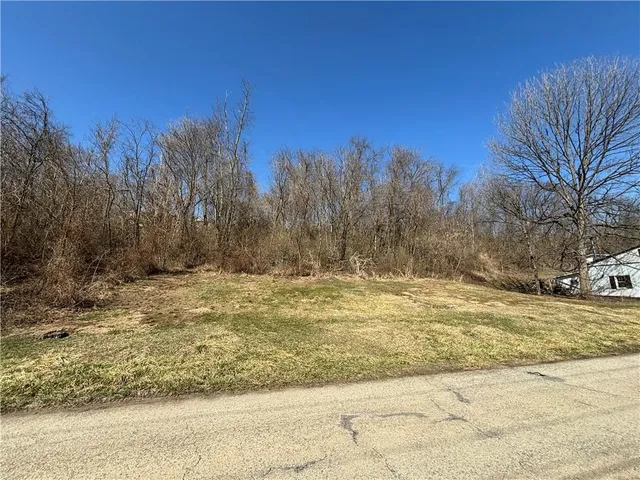 a view of yard with trees