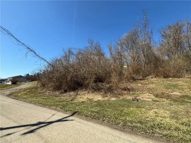 a view of a yard with an trees