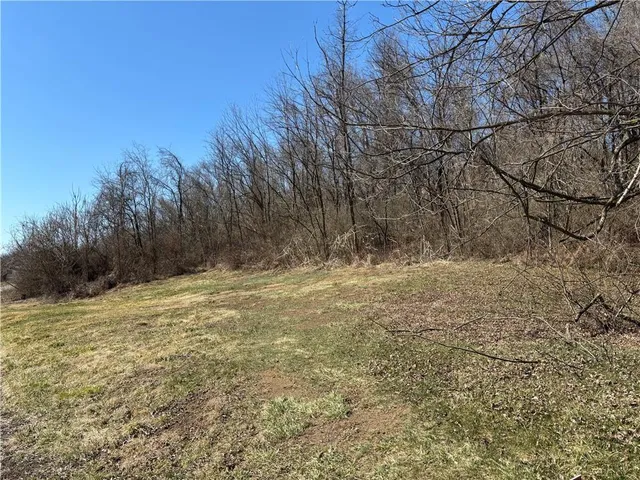 a view of a yard with large trees