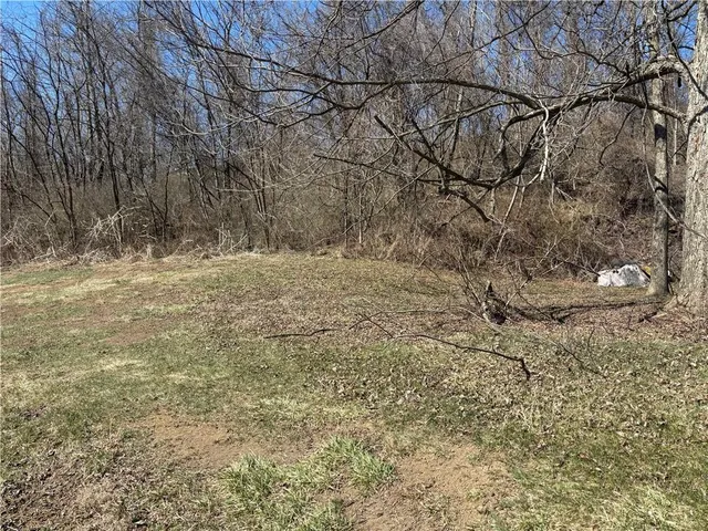 a view of empty field with large trees
