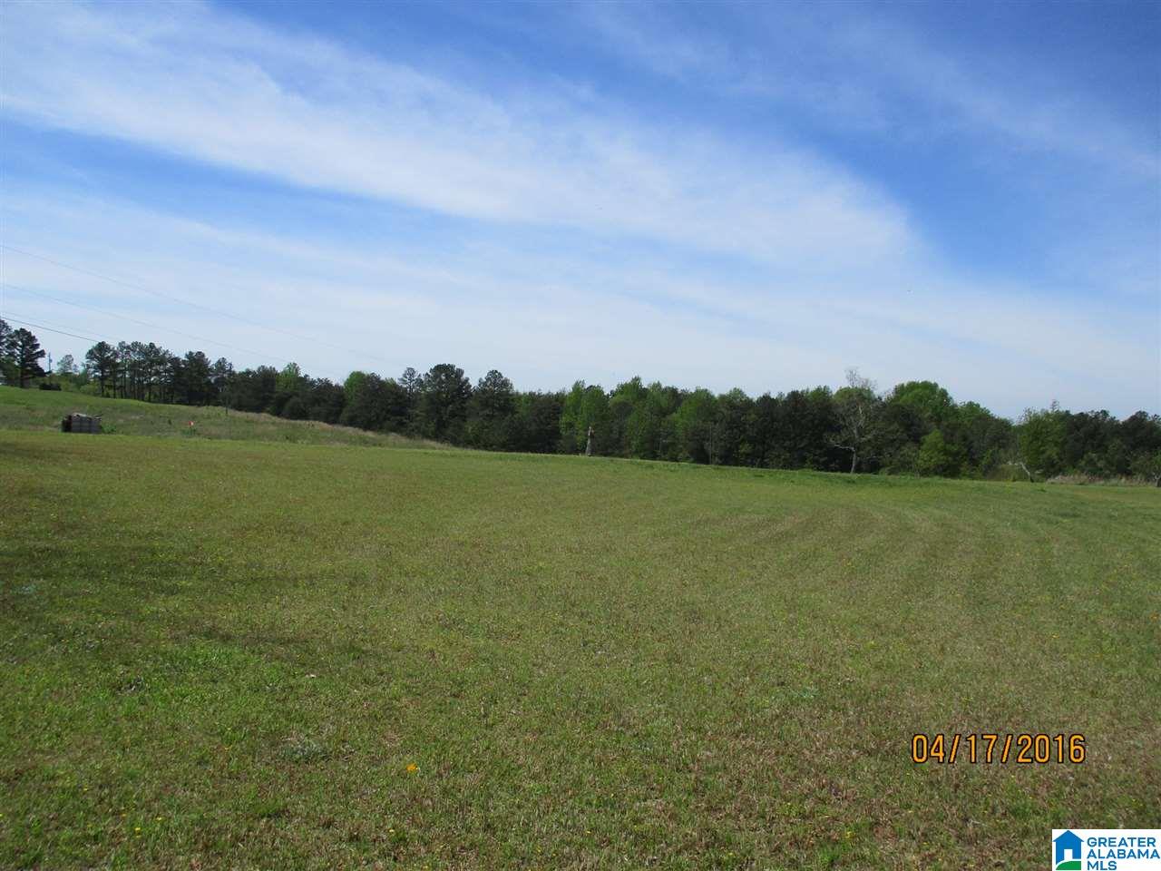 2253 Cliff Springs Road Oneonta, AL 35121 - Photo 41 of 50 Gallery Image 41