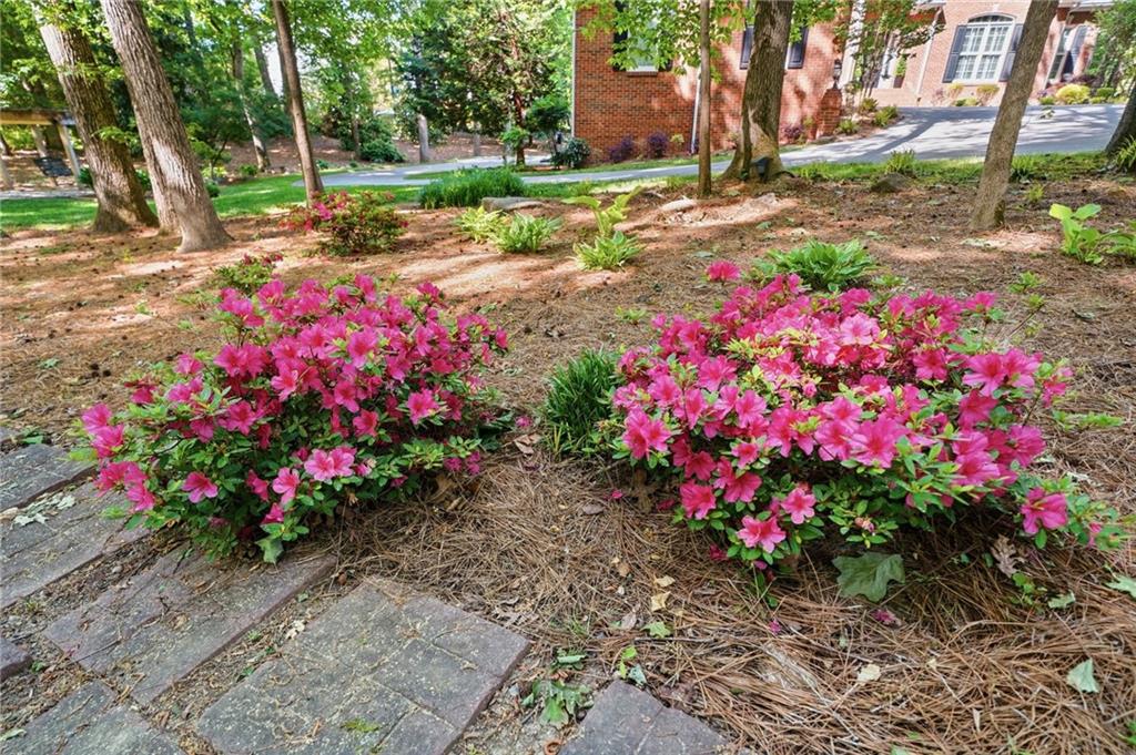 153 York Place Calhoun, GA 30701 - Photo 64 of 78