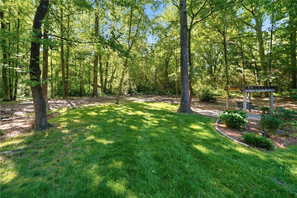 153 York Place Calhoun, GA 30701 - Photo 66 of 78 a big yard with lots of green space and trees