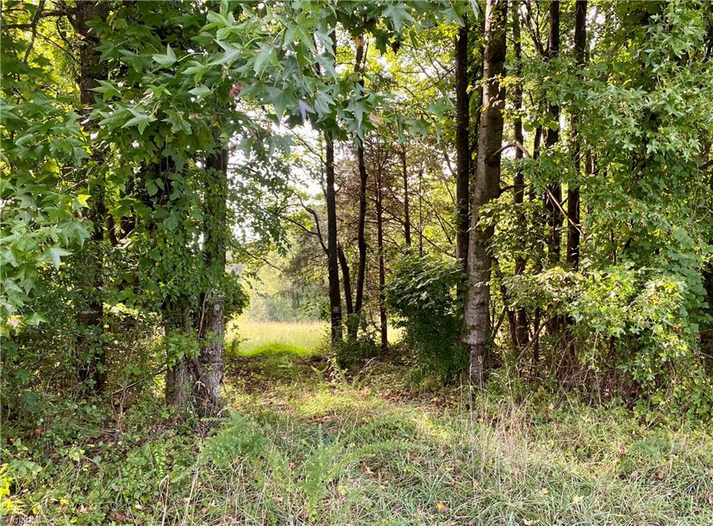1908 Hackamore Road Greensboro, NC 27410 - Photo 7 of 7 Gallery Image 7
