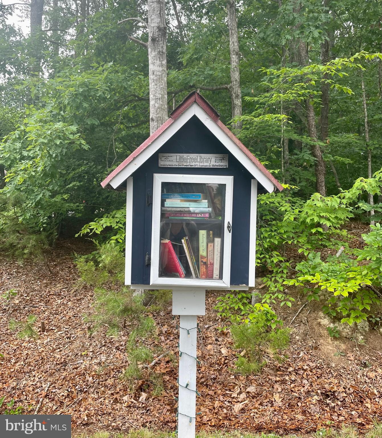 6206 Bills Road Mineral, VA 23117 - Photo 88 of 103 Gallery Image 88