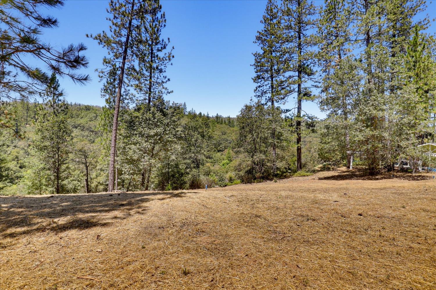 16300 Kiwi Road Grass Valley, CA 95949 - Photo 39 of 88 Gallery Image 39