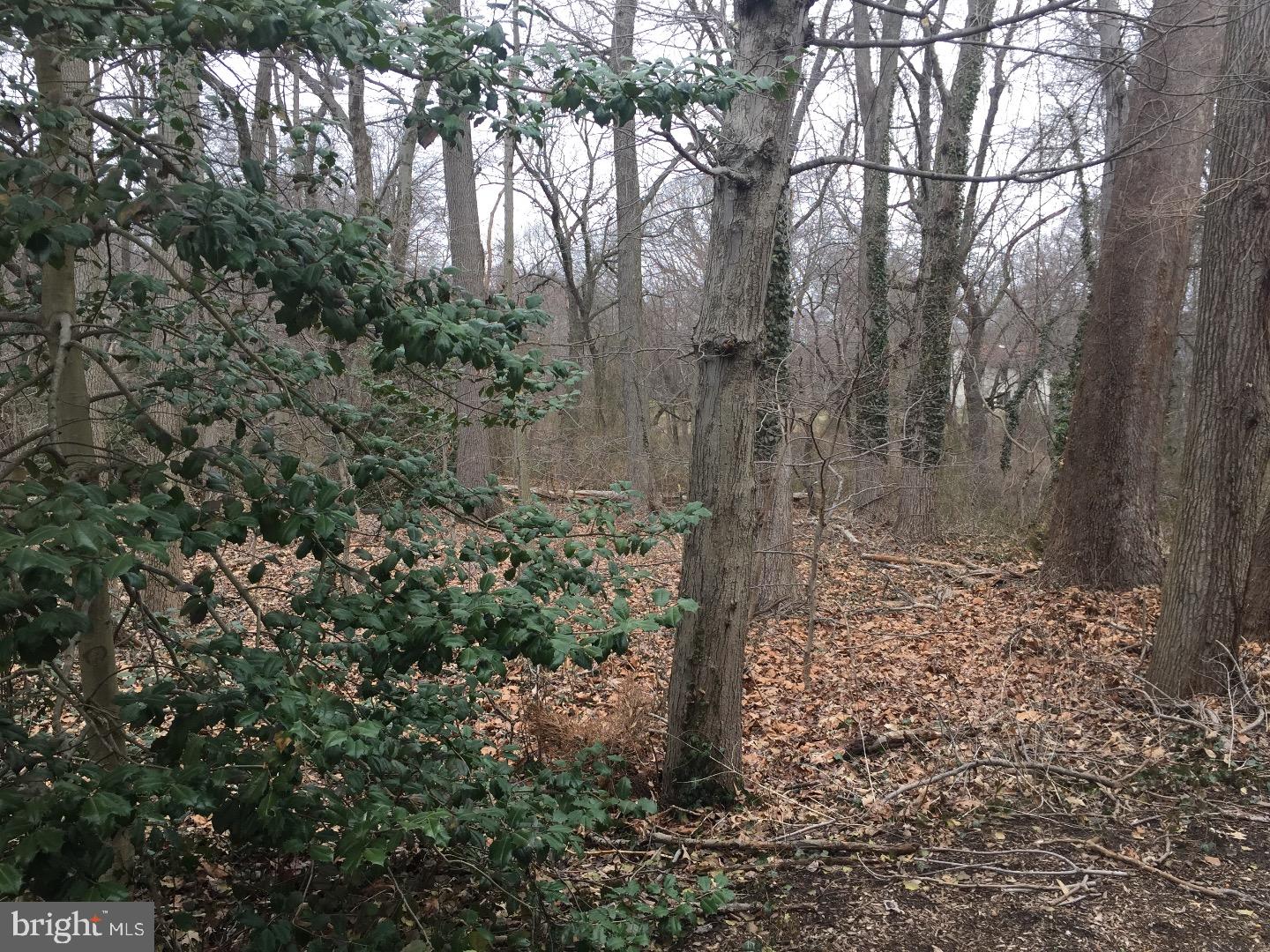 25 South Church Road, Unit 172 Maple Shade, NJ 08052 - Photo 14 of 15 View in Back