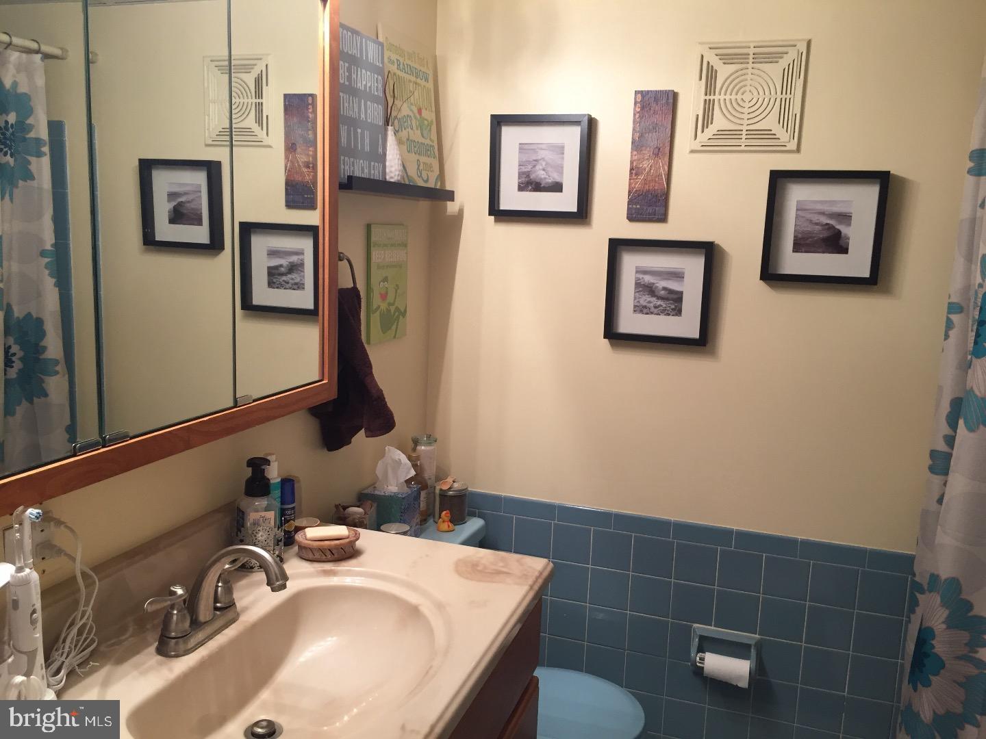 25 South Church Road, Unit 172 Maple Shade, NJ 08052 - Photo 9 of 15 Bathroom
