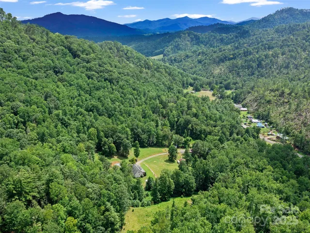a view of a lush green forest with a house