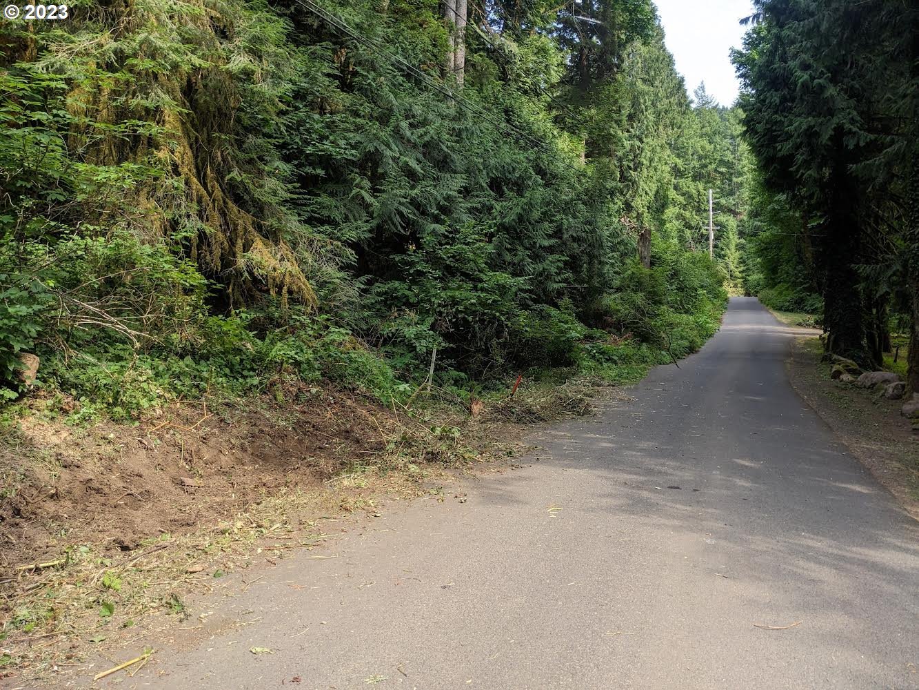 0 East Henry Creek Road Rhododendron, OR 97049 - Photo 4 of 10 Gallery Image 4