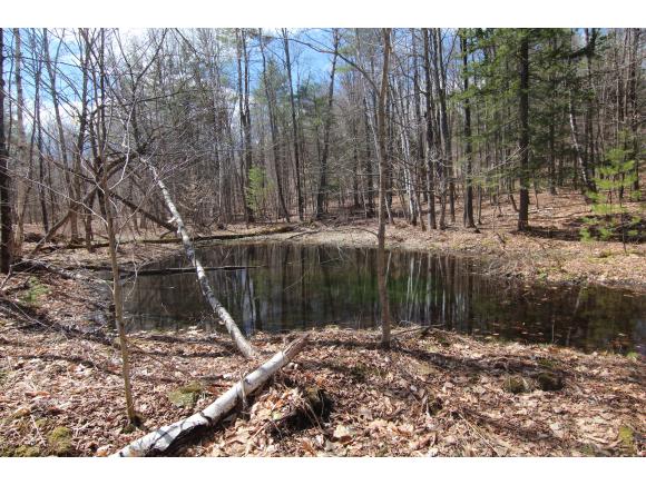 79 Barron Hill Road Hartland, VT 05048 - Photo 3 of 25