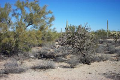 0 South M Bar J Ranch Road Marana, AZ 85658 - Photo 2 of 4