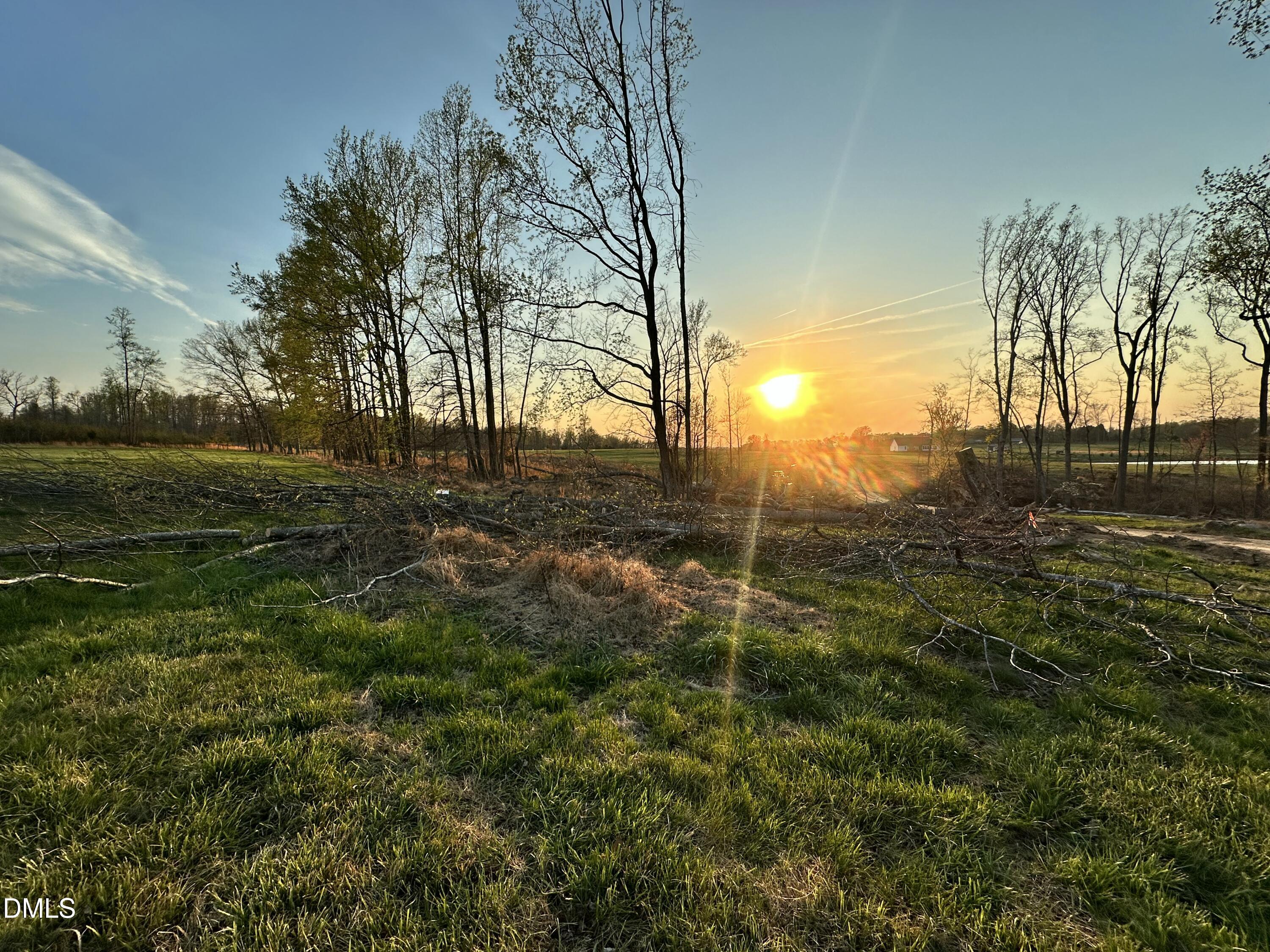 6.62-acres Jones Road Hurdle Mills, NC 27541 - Photo 5 of 9 a view of a yard