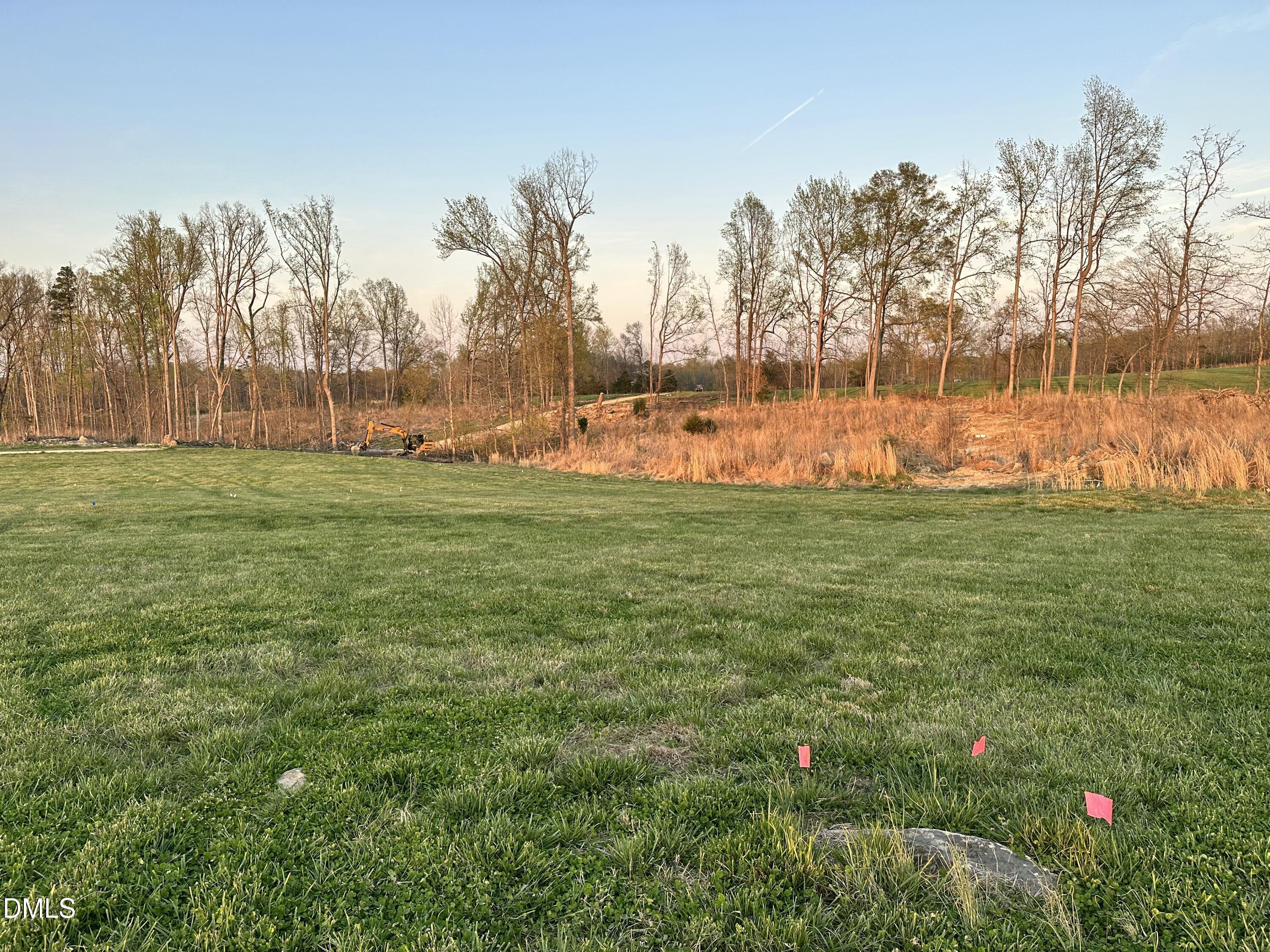 6.62-acres Jones Road Hurdle Mills, NC 27541 - Photo 8 of 9 a view of a park