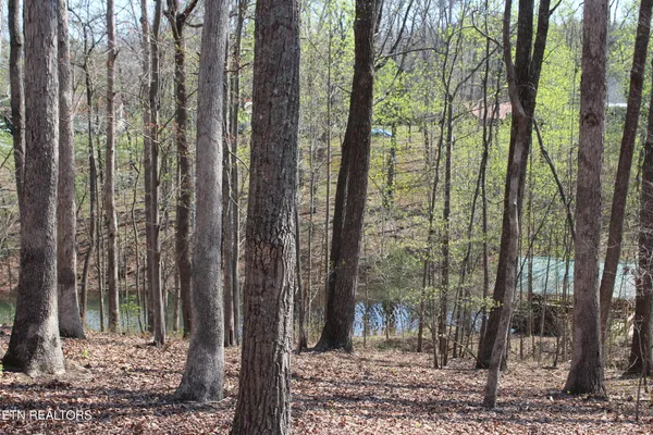 $279,500 | 108 Laurel Drive, Jamestown, TN 38556
