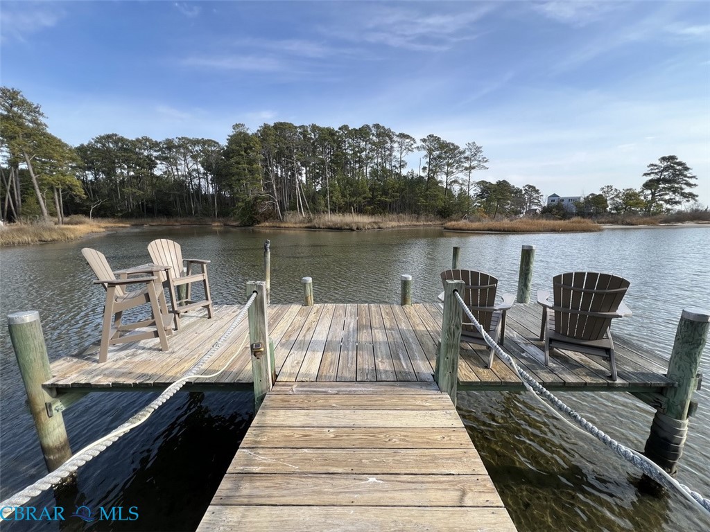Dock with a water view