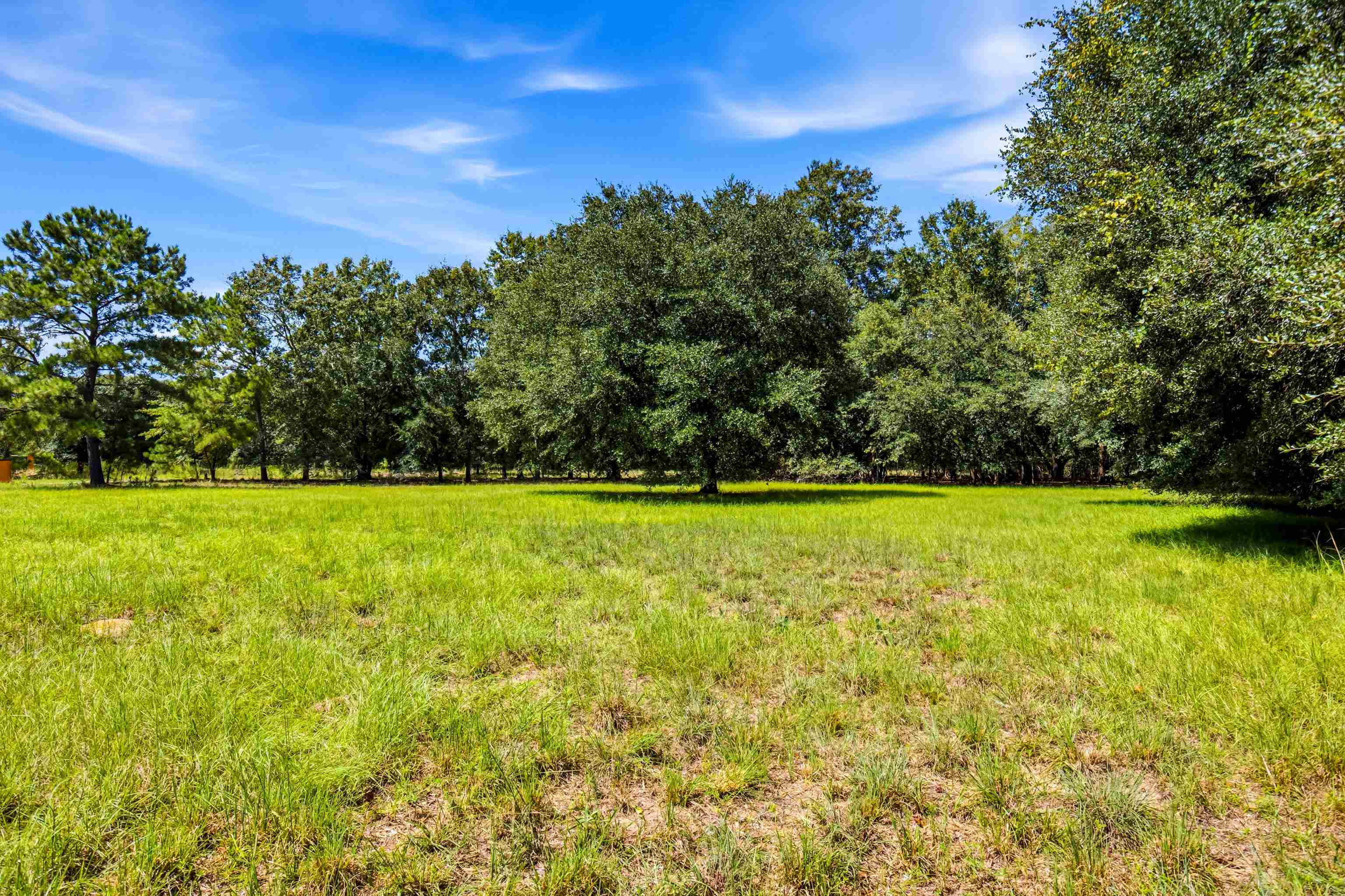 1569 Dave Plowden Pond Road Manning, SC 29102 - Photo 43 of 92 Gallery Image 43