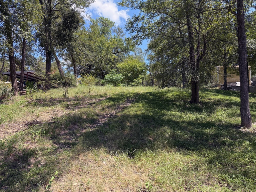 5224 Ledesma Road Austin, TX 78721 - Photo 8 of 16 View from street level (Ledesma).