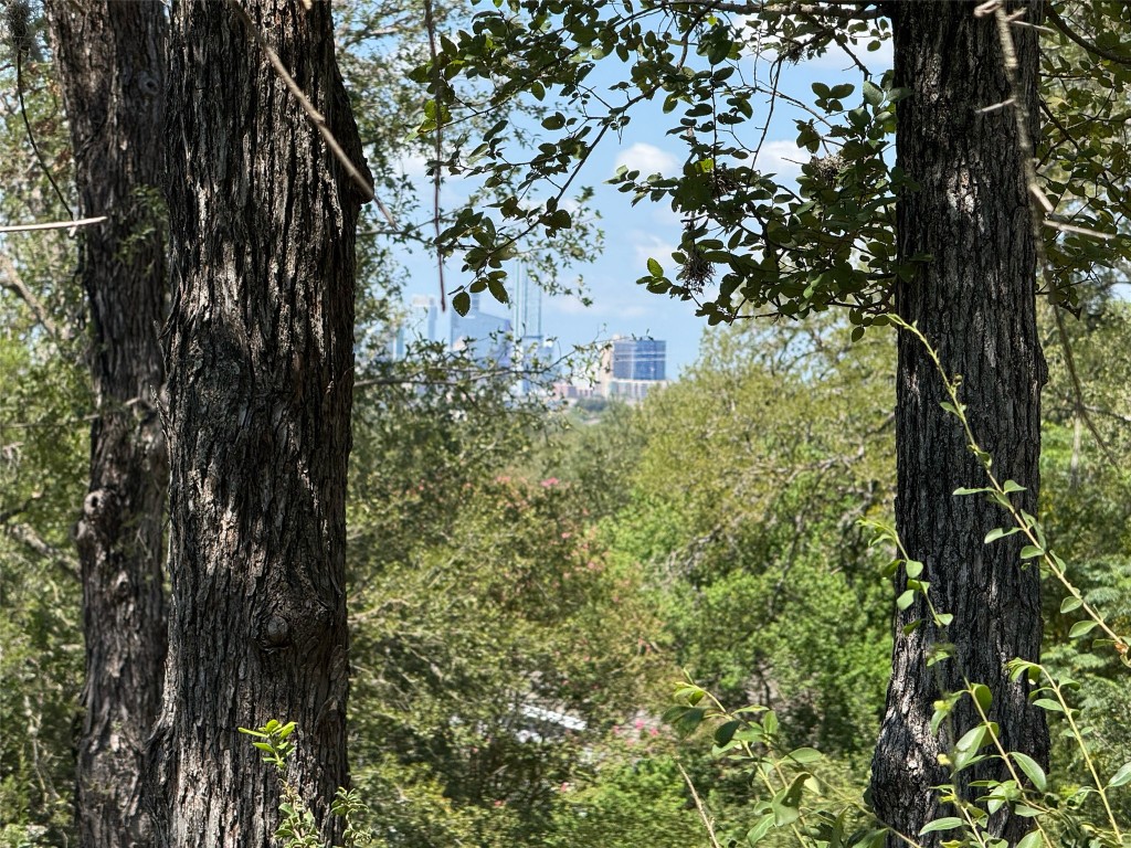 5224 Ledesma Road Austin, TX 78721 - Photo 9 of 16 Potential views of downtown.